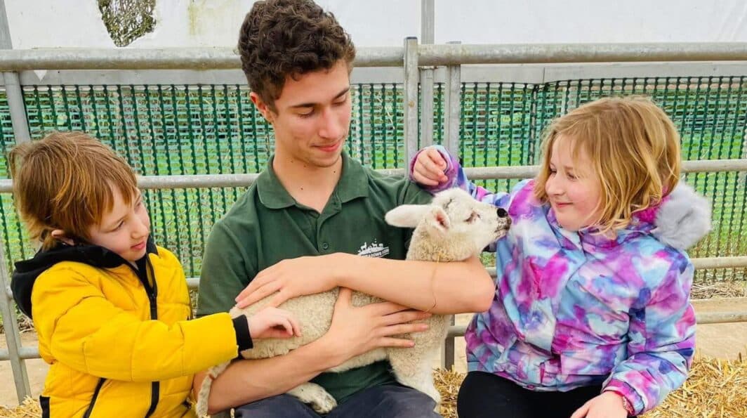 Easter at Mini Meadows Farm