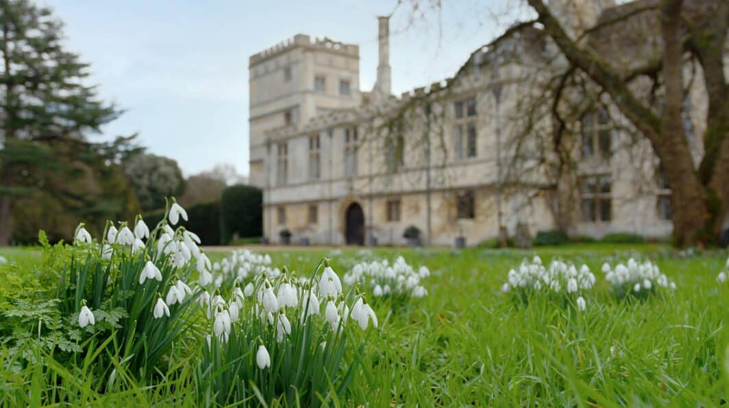Deene Park Snowdrop Walk