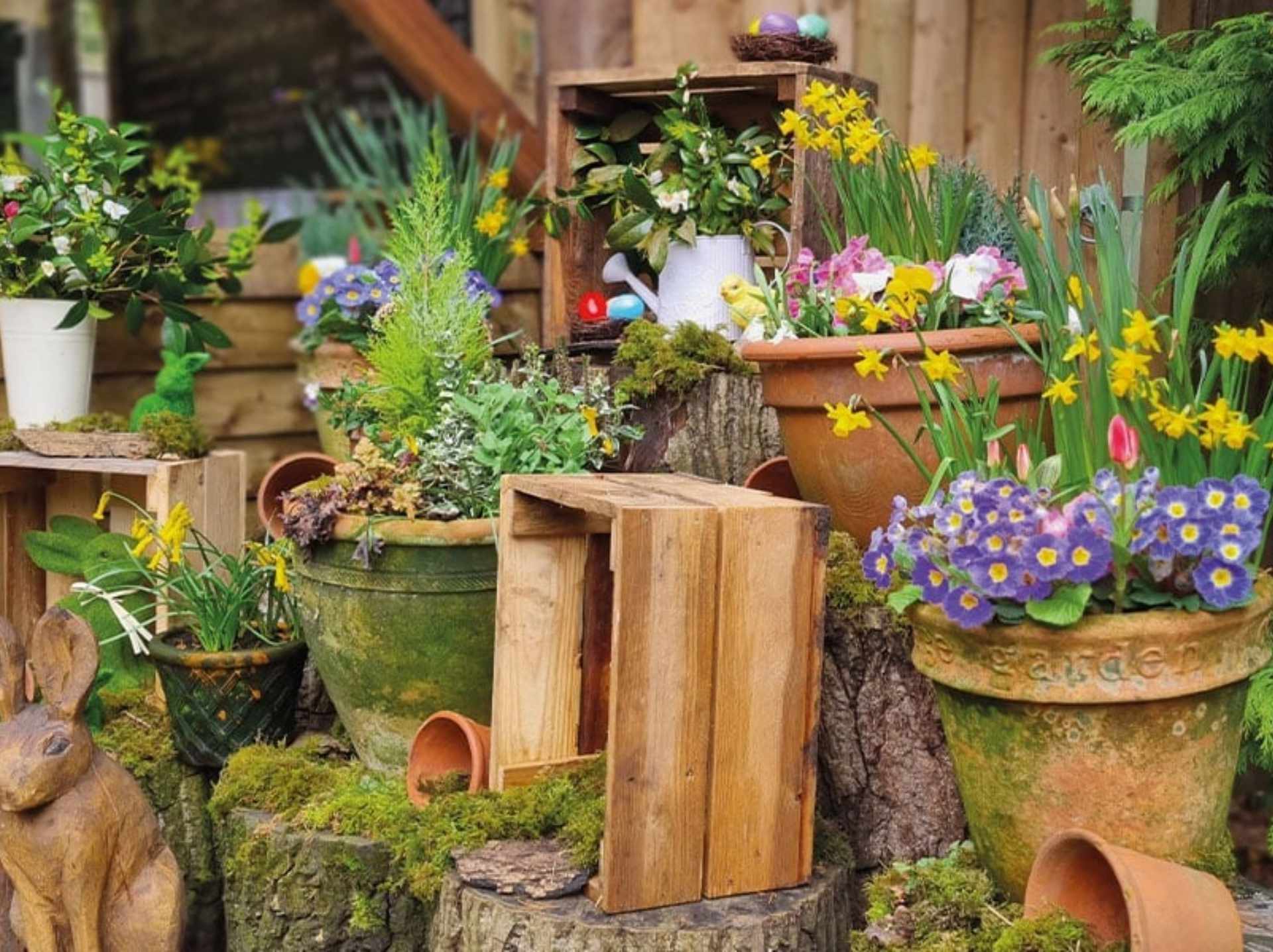Colour photo of various garden items, including plant pots and wooden boxes, with green, lilac and yellow plants inside