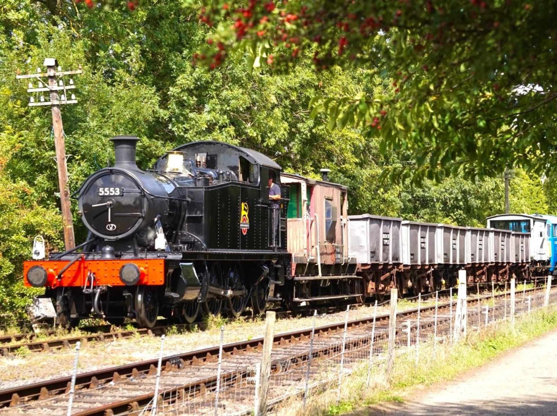 Northampton & Lamport Railway resized Colour photo of a black steam train with a red front bumper, driving on tracks, with greenery behind it