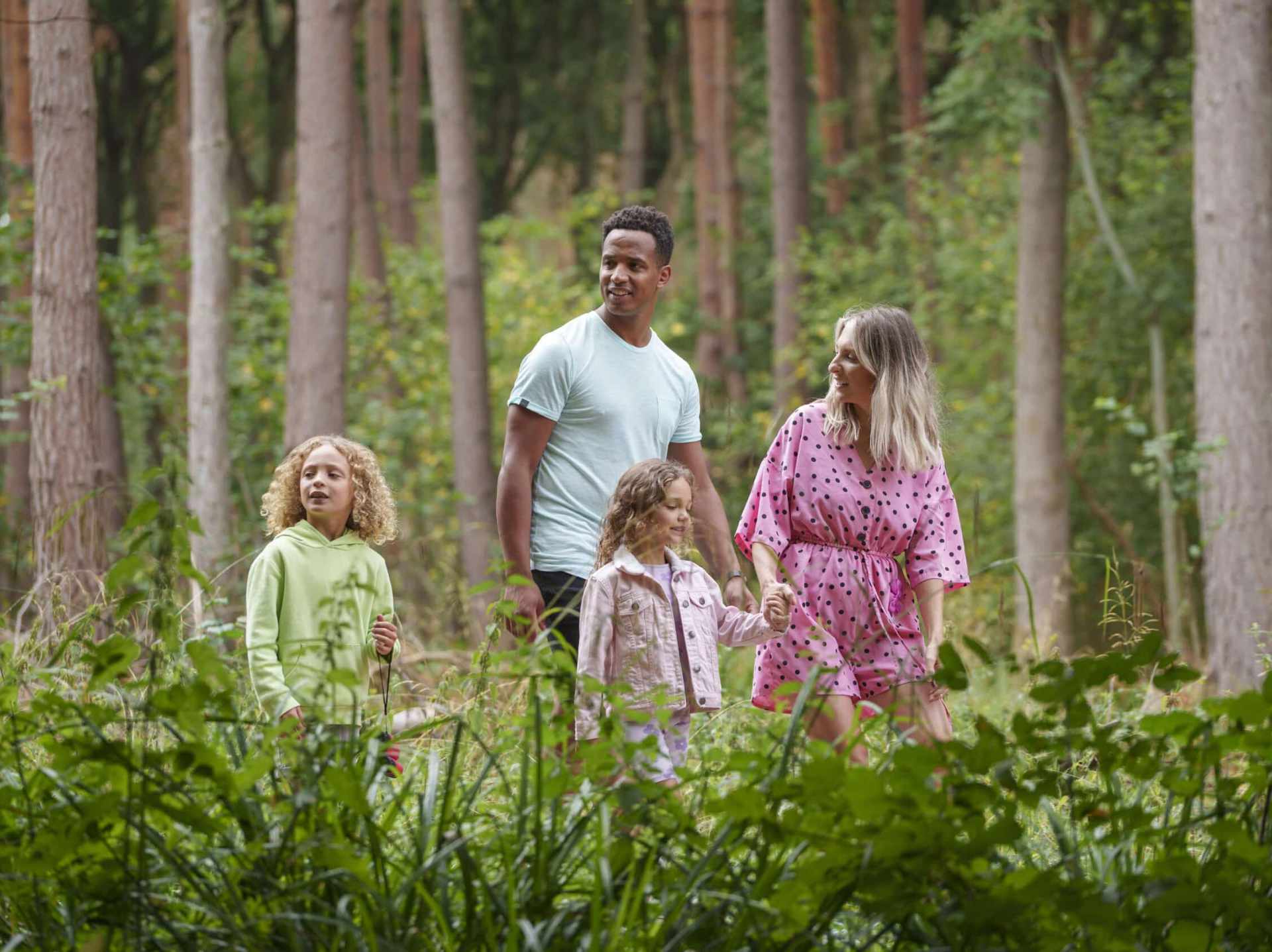 colour photo of a family (two adults and two children), taking a walk through woodland on a bright day