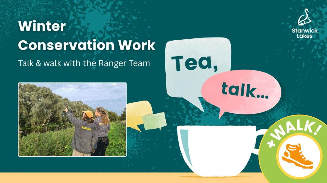 Talk & Walk: Winter Conservation Walk