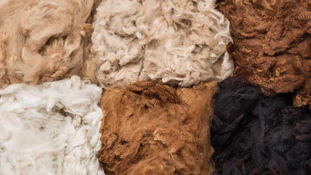 Hideaway Wood Farm Alpaca Fleece