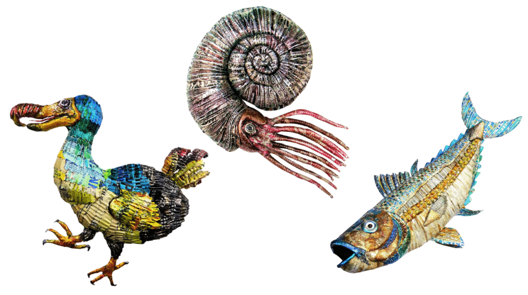 Endangered and Extinct Exhibition at Northampton Museum & Art Gallery