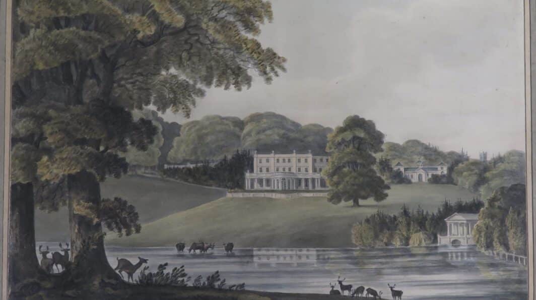 BECOME A GARDEN DETECTIVE!