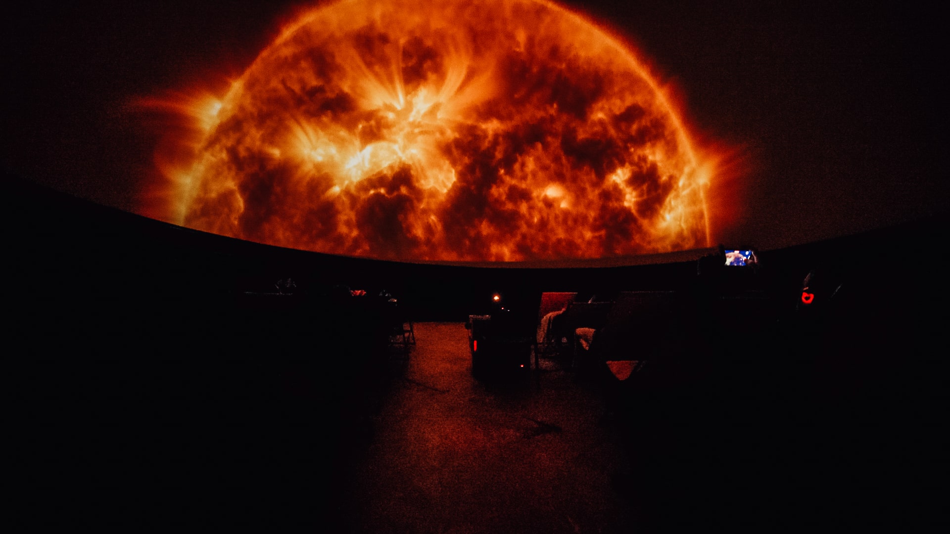 Evenley Wood Garden Snowdrops