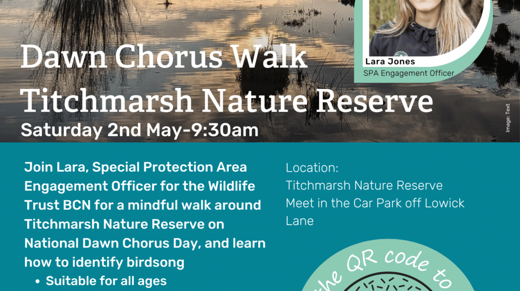 Titchmarsh Nature Reserve Dawn Chorus Walk
