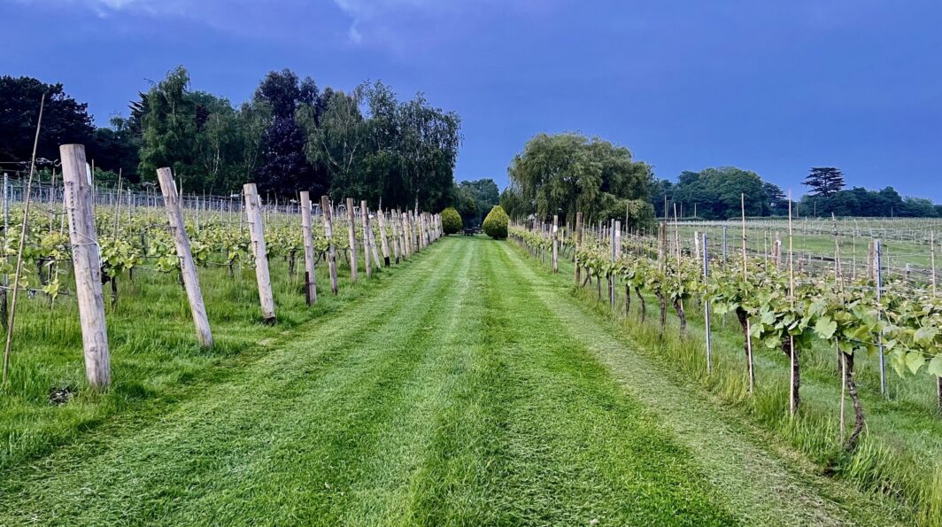 Northamptonshire Vineyards join the new East Midlands Wine Trail!