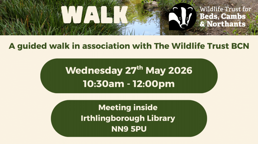 Irthlingborough Family Nature Walk