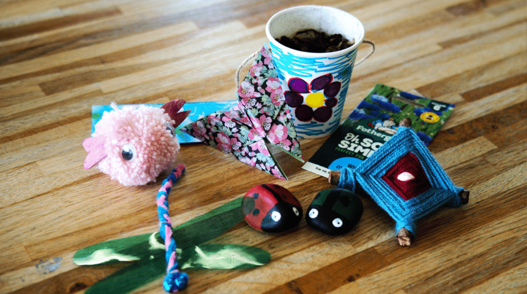 Big Creepy Crawly Craft Club, Stanwick Lakes
