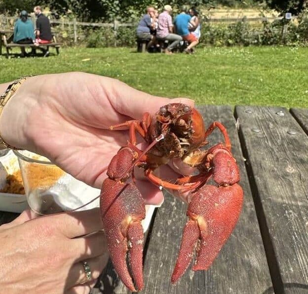 Crayfish in Towcester - you better believe it!