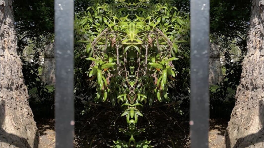 Exhibition - Mark Wallinger: Field
